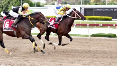 Récord por decimotercera semana consecutiva en el Monto del 5 y 6 Nacional de La Rinconada Récord por decimotercera semana consecutiva en el Monto del 5 y 6 Nacional de La Rinconada
