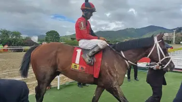 Así quedaron los resultados de las carreras en La Rinconada 09-06-2024 Así quedaron los resultados de las carreras en La Rinconada 09-06-2024