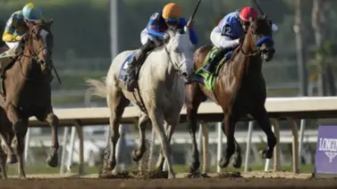 White Abarrio cambia de entrenador nuevamente luego de fallar en la Met Mile White Abarrio cambia de entrenador nuevamente luego de fallar en la Met Mile