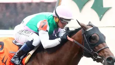 Javier Castellano gana dos carreras en Saratoga y se acerca a nueva cifra histórica en su carrera Javier Castellano gana dos carreras en Saratoga y se acerca a nueva cifra histórica en su carrera