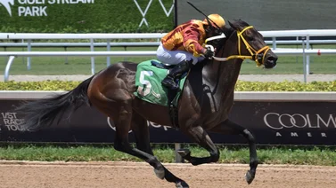 Emisael Jaramillo se volvió “el muchacho de la película” este domingo en Gulfstream Park