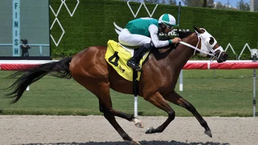 Leonel Reyes Ramos con triplete este domingo en Gulfstream Park