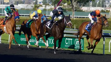 Ángel Alciro Castillo con victorias en jornadas seguidas en este hipódromo de Estados Unidos Ángel Alciro Castillo con victorias en jornadas seguidas en este hipódromo de Estados Unidos