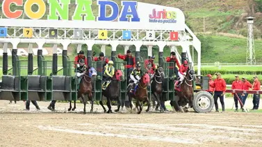 Clásico José Antonio Páez abre la Triple Corona Nacional en La Rinconada Clásico José Antonio Páez abre la Triple Corona Nacional en La Rinconada