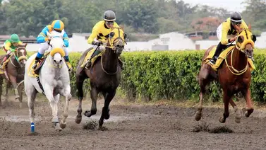 Yoqueta ecuatoriana debuta este martes en República Dominicana Yoqueta ecuatoriana debuta este martes en República Dominicana