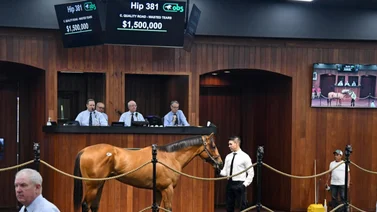 Estos son los dosañeros más rápidos de las subastas de Ocala Breeder’s