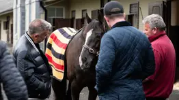 Ganador de la Breeders´Cup Turf y el Derby de Epsom inscrito para correr en Royal Ascot