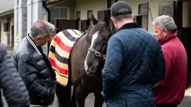 Ganador de la Breeders´Cup Turf y el Derby de Epsom inscrito para correr en Royal Ascot Ganador de la Breeders´Cup Turf y el Derby de Epsom inscrito para correr en Royal Ascot