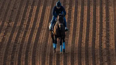 Señor Buscador vuelve a la acción clásica con estos trabajos Señor Buscador vuelve a la acción clásica con estos trabajos
