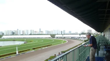 Suspendidas las carreras en Gulfstream Park el día jueves 13-06-2024