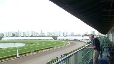 Suspendidas las carreras en Gulfstream Park el día jueves 13-06-2024 Suspendidas las carreras en Gulfstream Park el día jueves 13-06-2024