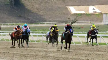 El mejor ajuste del José Antonio Páez lo tiene un potro que de ganar tumbaría todos los cuadros El mejor ajuste del José Antonio Páez lo tiene un potro que de ganar tumbaría todos los cuadros