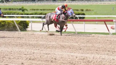 Reaparece en La Rinconada la potra más costosa de la subasta Unicria 2022 Reaparece en La Rinconada la potra más costosa de la subasta Unicria 2022