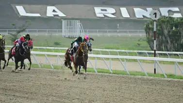 Como ajusta esta yegua debería ser la fija de la última válida Como ajusta esta yegua debería ser la fija de la última válida