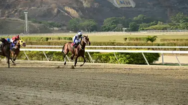 Conoce como ajustó este ejemplar que es gran favorito en las no válidas del domingo en La Rinconada Conoce como ajustó este ejemplar que es gran favorito en las no válidas del domingo en La Rinconada