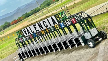 Estos son hasta el momento los ejemplares retirados en el Hipódromo de Valencia 15-6-2024