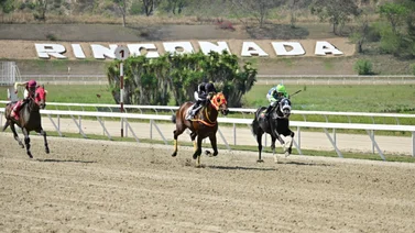 Mira cómo fue el ajuste de este caballo que puede sorprender este domingo en La Rinconada