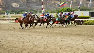 Como ajustó este potro tiene mucho que buscar en el Páez Como ajustó este potro tiene mucho que buscar en el Páez