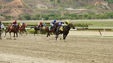 Así es el ajuste de este caballo que gusta mucho para repetir en las carreras no válidas
