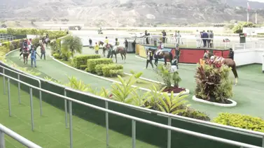 Así ajusta la línea de Gaceta Hípica para la reunión 23 Así ajusta la línea de Gaceta Hípica para la reunión 23