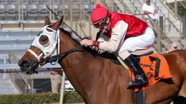 Jinete con casi 70 años gana con tres batacazos y tiene este increíble porcentaje de victorias en el 2024 Jinete con casi 70 años gana con tres batacazos y tiene este increíble porcentaje de victorias en el 2024