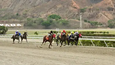Estos son los ejemplares que más gustan a esta hora en La Rinconada Estos son los ejemplares que más gustan a esta hora en La Rinconada