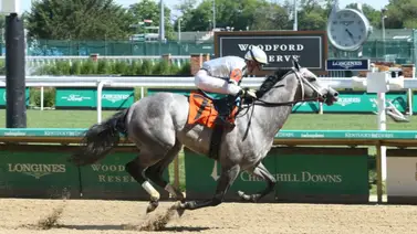 Entrenador venezolano es contratado por importante Stud árabe Entrenador venezolano es contratado por importante Stud árabe