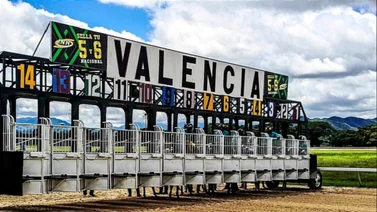 Datos de última hora para el hipódromo de Valencia 15-6-2024