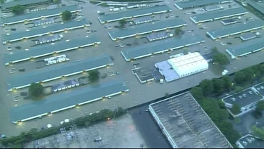 Tormenta que afecta al sur de Florida obliga a hacer esto con los caballos de Gulfstream Park