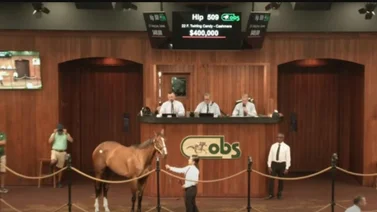 Hermana completa de un ganador del Preakness Stakes es la potra más cara del segundo día de subastas en Ocala 