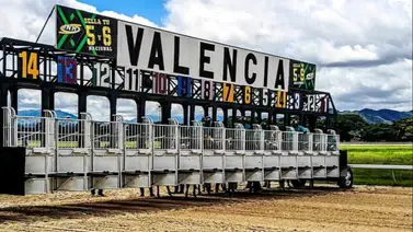 Estos son los retirados del Hipódromo de Valencia 15-6-2024 Estos son los retirados del Hipódromo de Valencia 15-6-2024