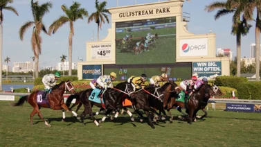 Gulfstream Park sin carreras este sábado 15 de junio del 2024