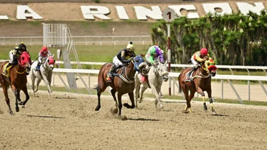 Este es el dato mas corrido en el hipódromo La Rinconada a esta hora