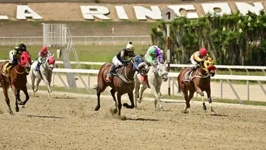 Este es el dato mas corrido en el hipódromo La Rinconada a esta hora Este es el dato mas corrido en el hipódromo La Rinconada a esta hora