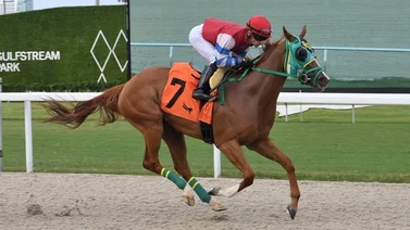 Criollo ganador del Kentucky Derby duplica este domingo en Estados Unidos 