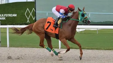 Criollo ganador del Kentucky Derby duplica este domingo en Estados Unidos  Criollo ganador del Kentucky Derby duplica este domingo en Estados Unidos
