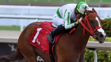 Mira el tiempo que tenía Iván Pimentel Jr. sin ganar en Estados Unidos Mira el tiempo que tenía Iván Pimentel Jr. sin ganar en Estados Unidos