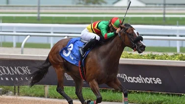 Jockey venezolano se unió a la fiesta de victorias en Gulfstream Park