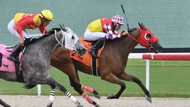 Leonel Reyes Ramos se sumó a la fiesta de victorias en Gulfstream Park
