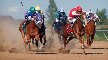 Wilfred Vasquez cumple su mejor temporada desde que llegó a Estados Unidos Wilfred Vasquez cumple su mejor temporada desde que llegó a Estados Unidos