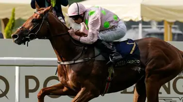 Aquí los 34 Stakes y 18 pruebas de Grado de Royal Ascot esta semana en Inglaterra Aquí los 34 Stakes y 18 pruebas de Grado de Royal Ascot esta semana en Inglaterra