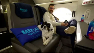 ¡A la vanguardia! Bark Air, la primera aerolínea de lujo para perros