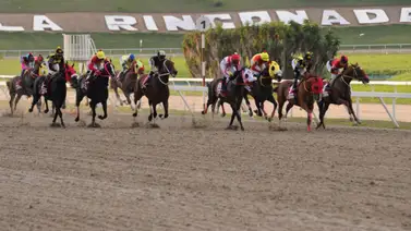 Copa Gaceta Hípica engalana la reunión 24 en La Rinconada Copa Gaceta Hípica engalana la reunión 24 en La Rinconada