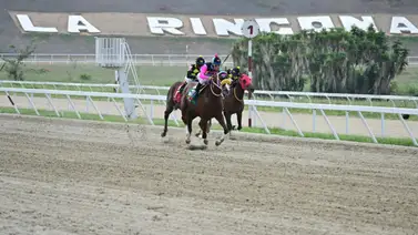 El doble coronado Time Traveler lidera la nómina de la Copa Gaceta Hípica El doble coronado Time Traveler lidera la nómina de la Copa Gaceta Hípica