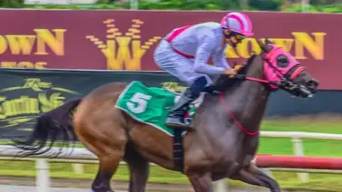 Entrenador venezolano alcanza los 1.000 triunfos en su carrera Entrenador venezolano alcanza los 1.000 triunfos en su carrera