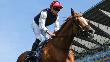 Emisael Jaramillo y Gabaldon van contra estos 27 potros en el Windsor Castle S. en Inglaterra Emisael Jaramillo y Gabaldon van contra estos 27 potros en el Windsor Castle S. en Inglaterra