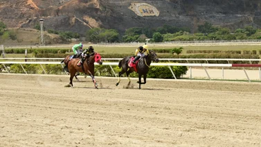 Yegua invicta en el 2024 reaparece en La Rinconada tras 98 días sin correr