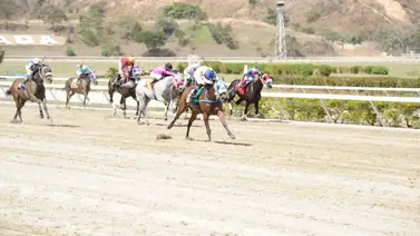 Ramón García Mosquera reaparece nieta de Water Poet tras 119 días de ausencia en La Rinconada Ramón García Mosquera reaparece nieta de Water Poet tras 119 días de ausencia en La Rinconada