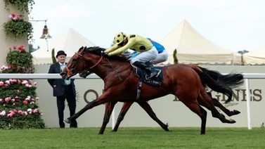 Ganador de las 2.000 Guineas de Irlanda gana el St James Palace Stakes en el Royal Ascot 2024