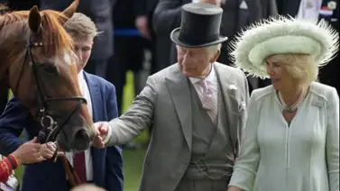 Estos son los caballos de los Reyes Carlos III y Camilla que corren esta semana en Royal Ascot Estos son los caballos de los Reyes Carlos III y Camilla que corren esta semana en Royal Ascot